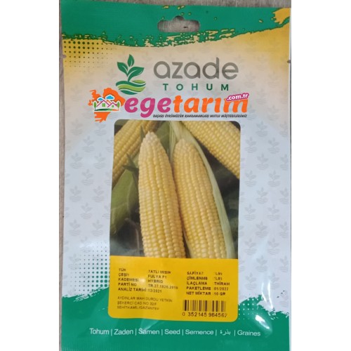 Azade tohum Fulya f1 Hibrit tatlı mısır tohumu (Bardak Mısır) 10 gr